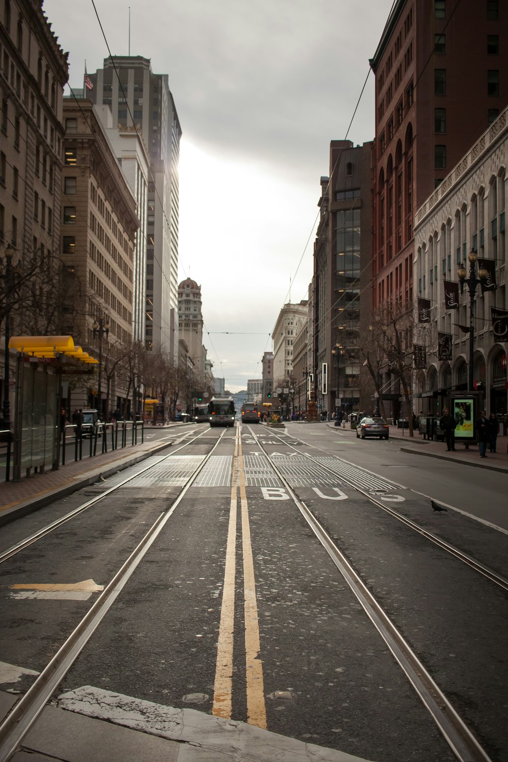 cars on road between high rise buildings during daytime