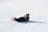 person in black jacket lying on snow covered ground during daytime