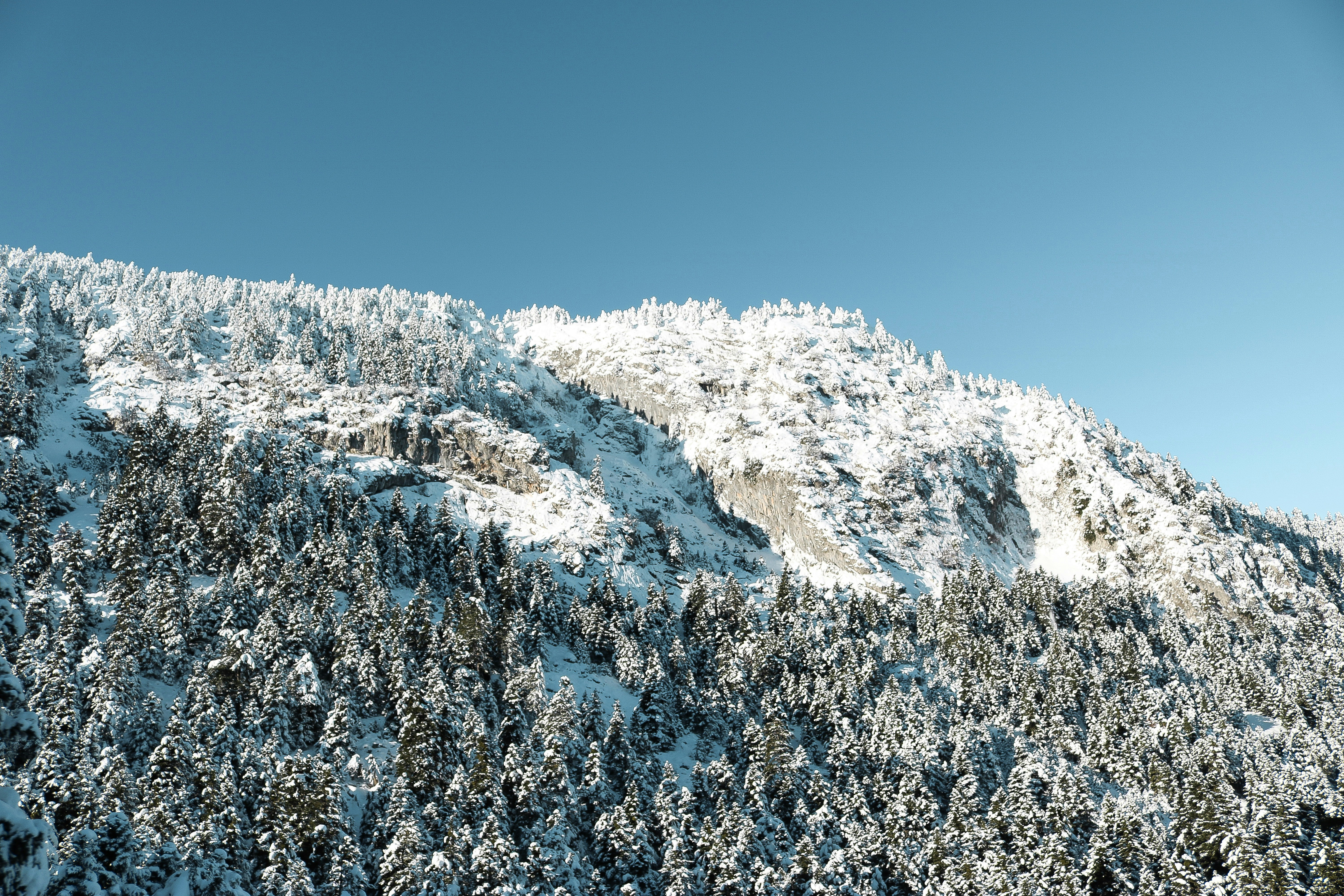 Photo by danaetsoutreli