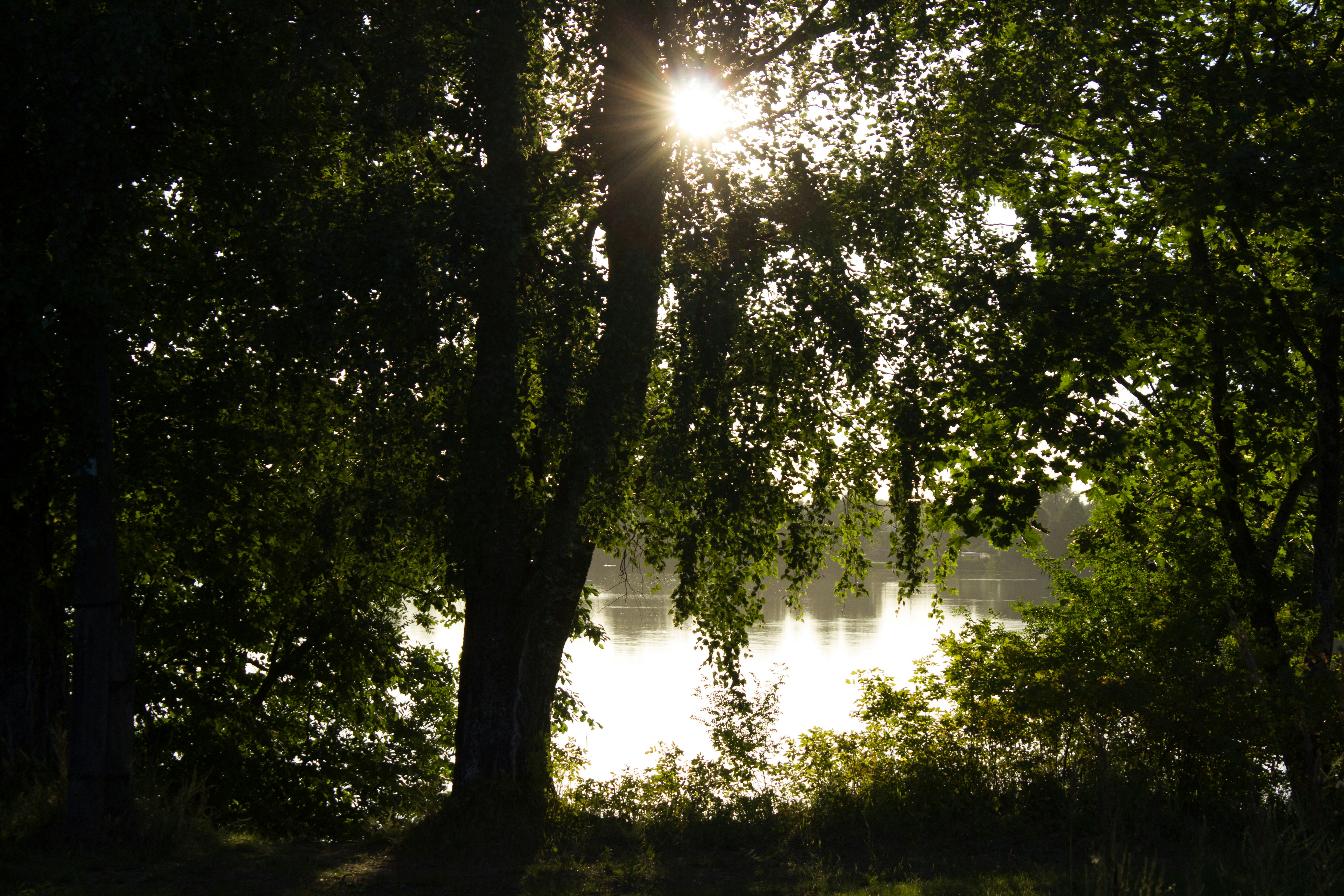 Photo by arsenijvolkov