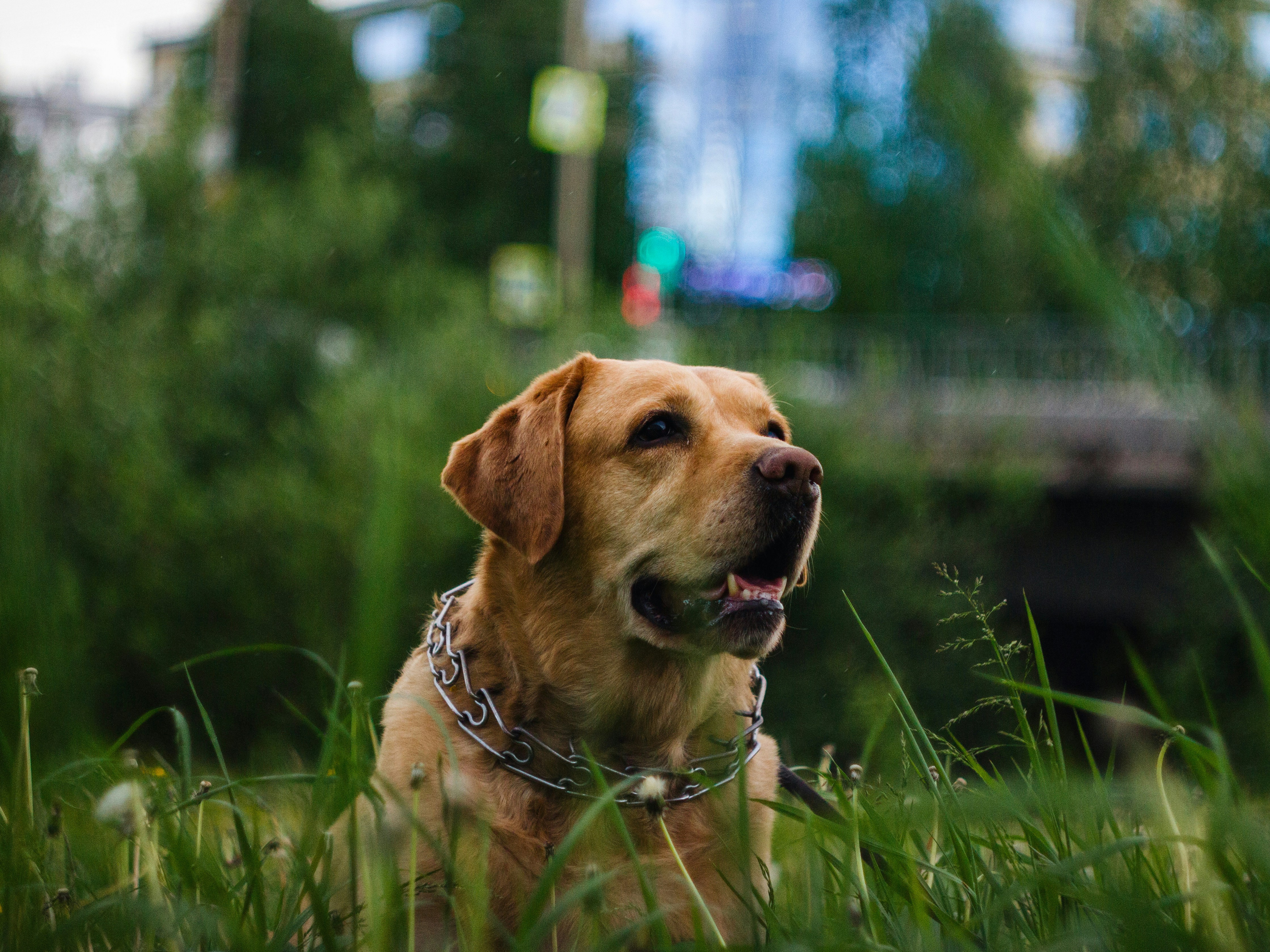 Photo by arsenijvolkov