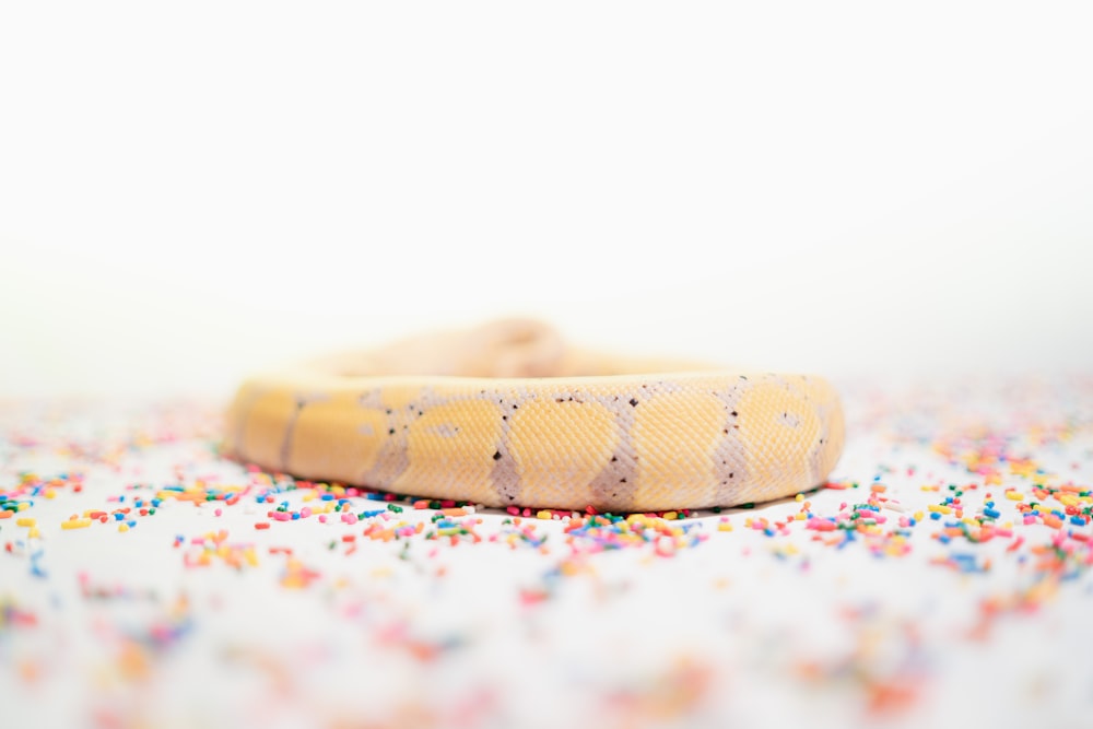 brown and white snake on white textile