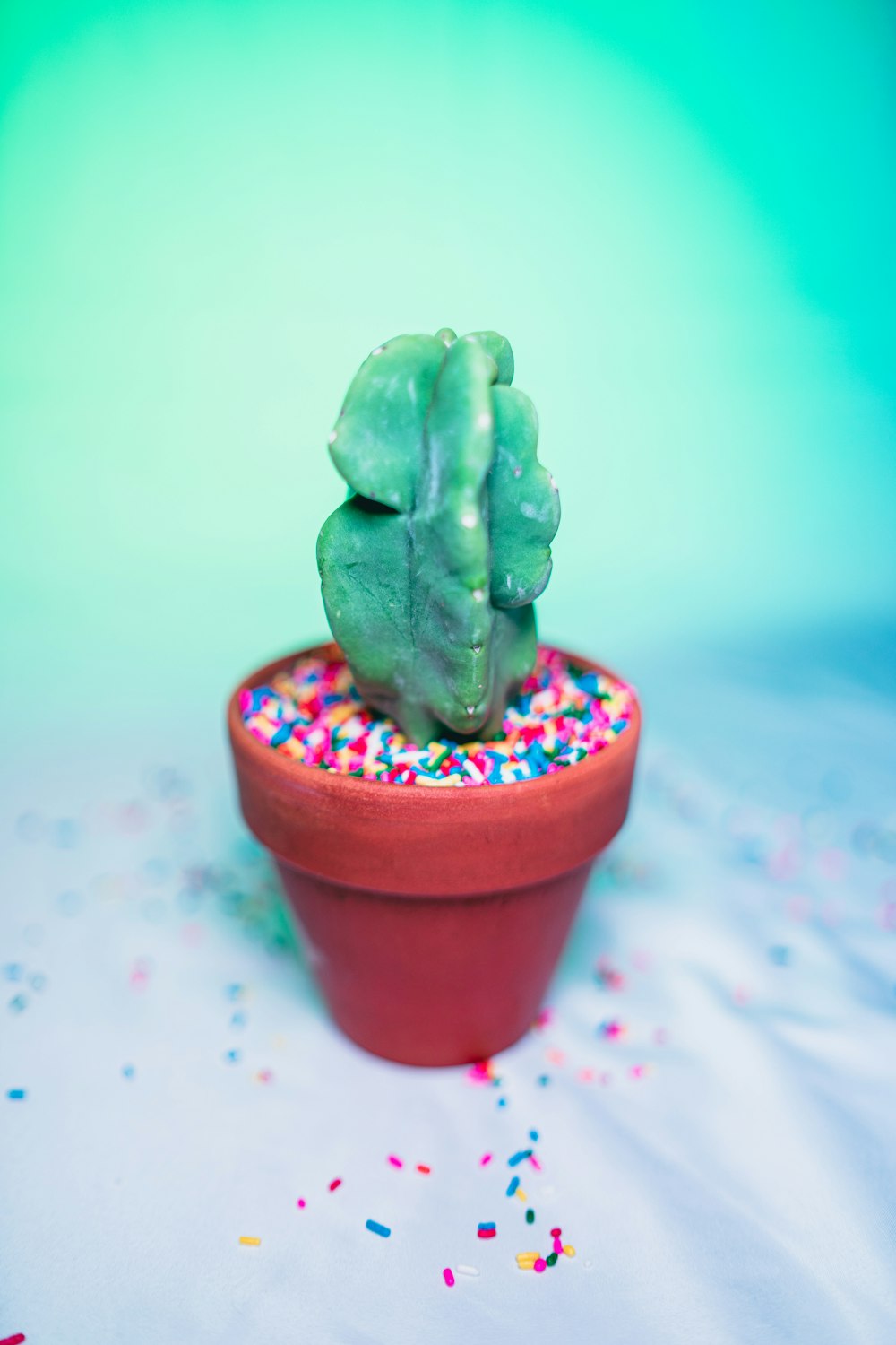 green ceramic figurine on pink pot