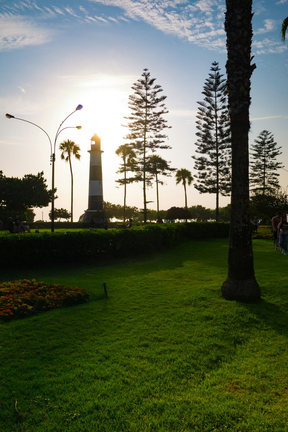 green grass field with trees and high rise buildings