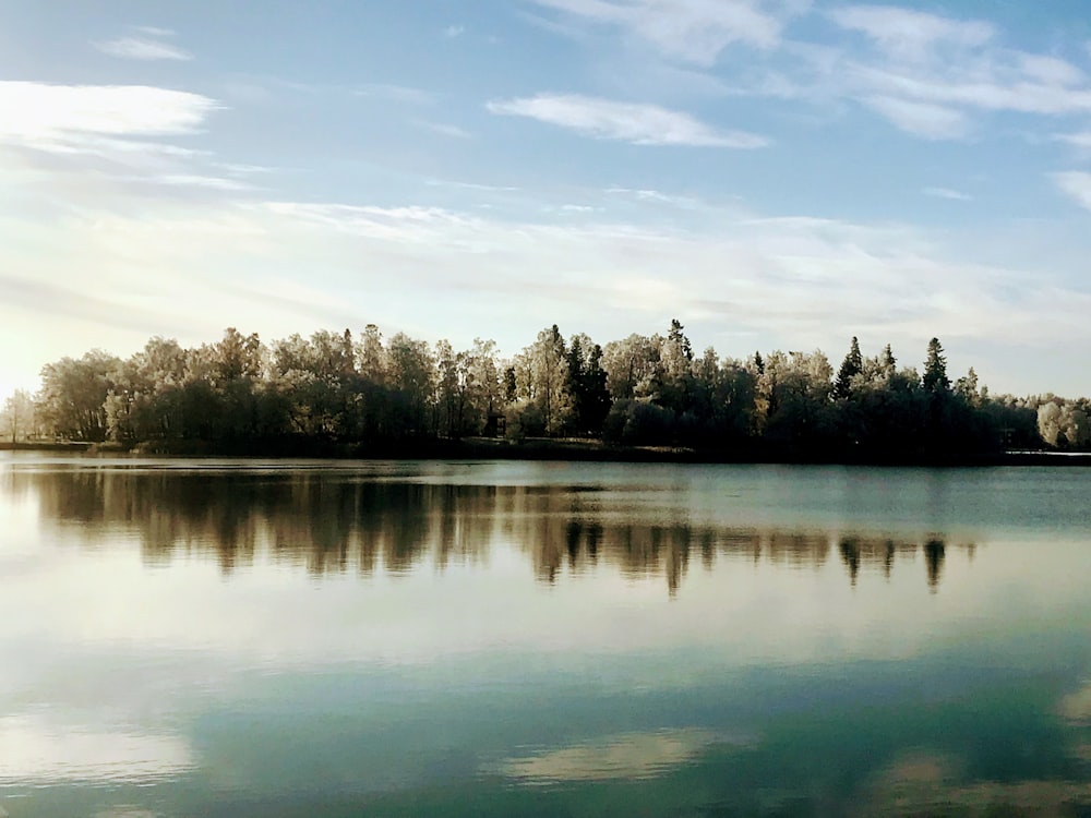 body of water near trees under cloudy sky during daytime