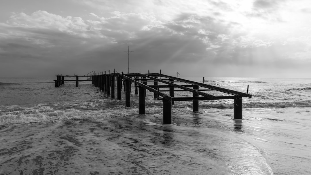 grayscale photo of wooden dock on sea