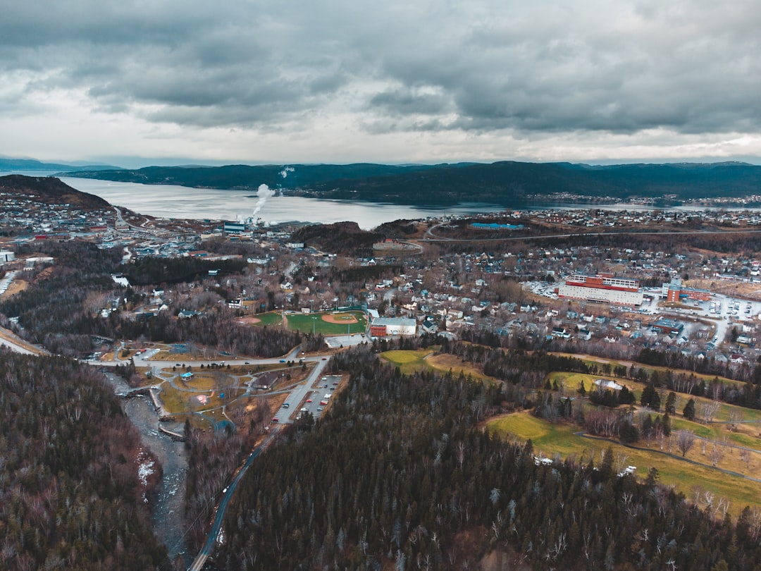 aerial view of city during daytime