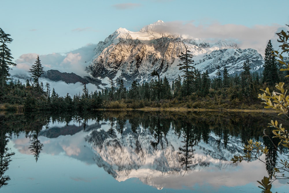 green trees near snow covered mountain during daytime