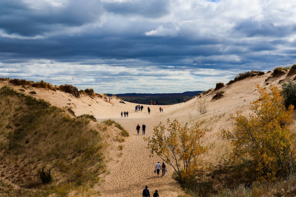 people walking on brown sand beach during daytime