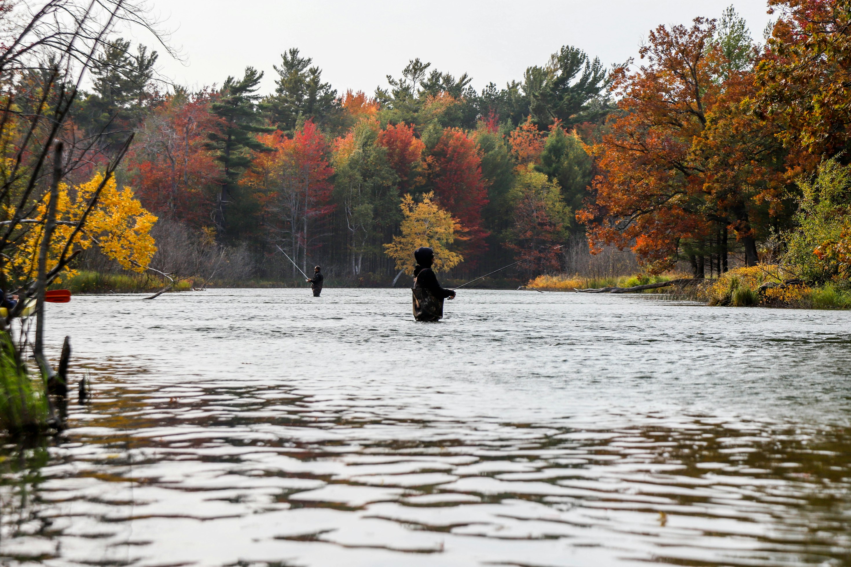 The World’s Greatest Wildlife Photographer