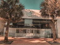 A modern storefront with a large glass facade, framed by two tall palm trees. The entrance features a minimalistic design with the logo of a well-known tech company prominently displayed above. The overall architecture is sleek and contemporary.