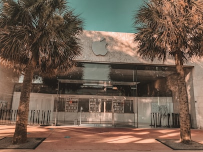 A modern storefront with a large glass facade, framed by two tall palm trees. The entrance features a minimalistic design with the logo of a well-known tech company prominently displayed above. The overall architecture is sleek and contemporary.