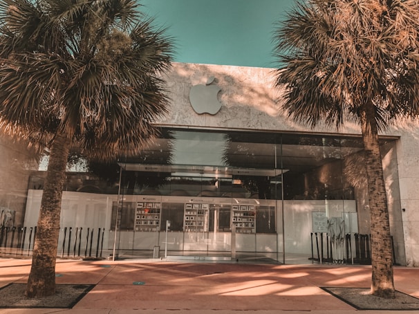 A modern storefront with a large glass facade, framed by two tall palm trees. The entrance features a minimalistic design with the logo of a well-known tech company prominently displayed above. The overall architecture is sleek and contemporary.