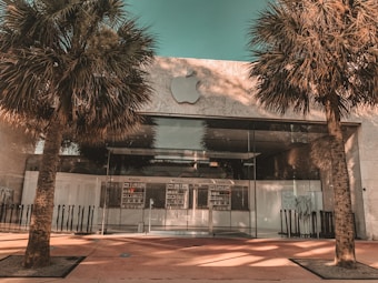A modern storefront with a large glass facade, framed by two tall palm trees. The entrance features a minimalistic design with the logo of a well-known tech company prominently displayed above. The overall architecture is sleek and contemporary.