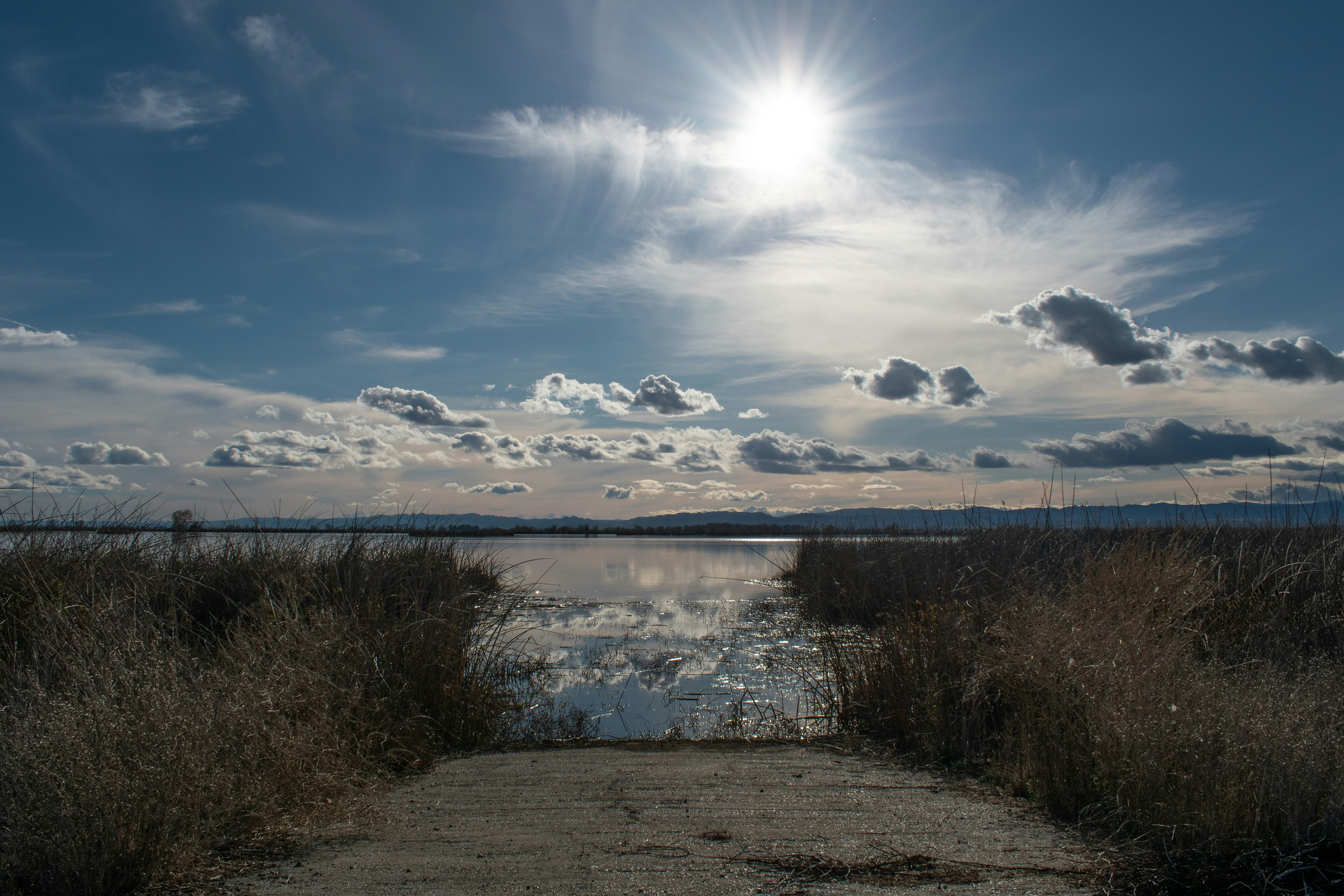 Photo by elisastonephotography