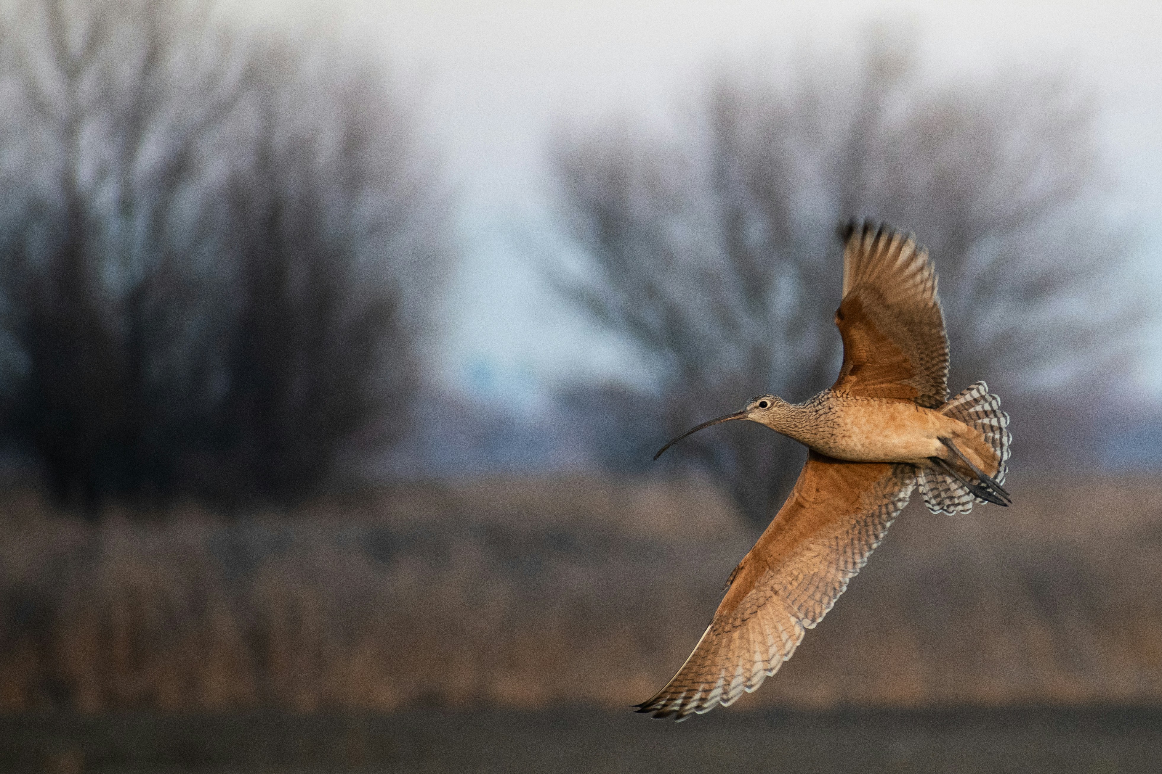 Photo by elisastonephotography