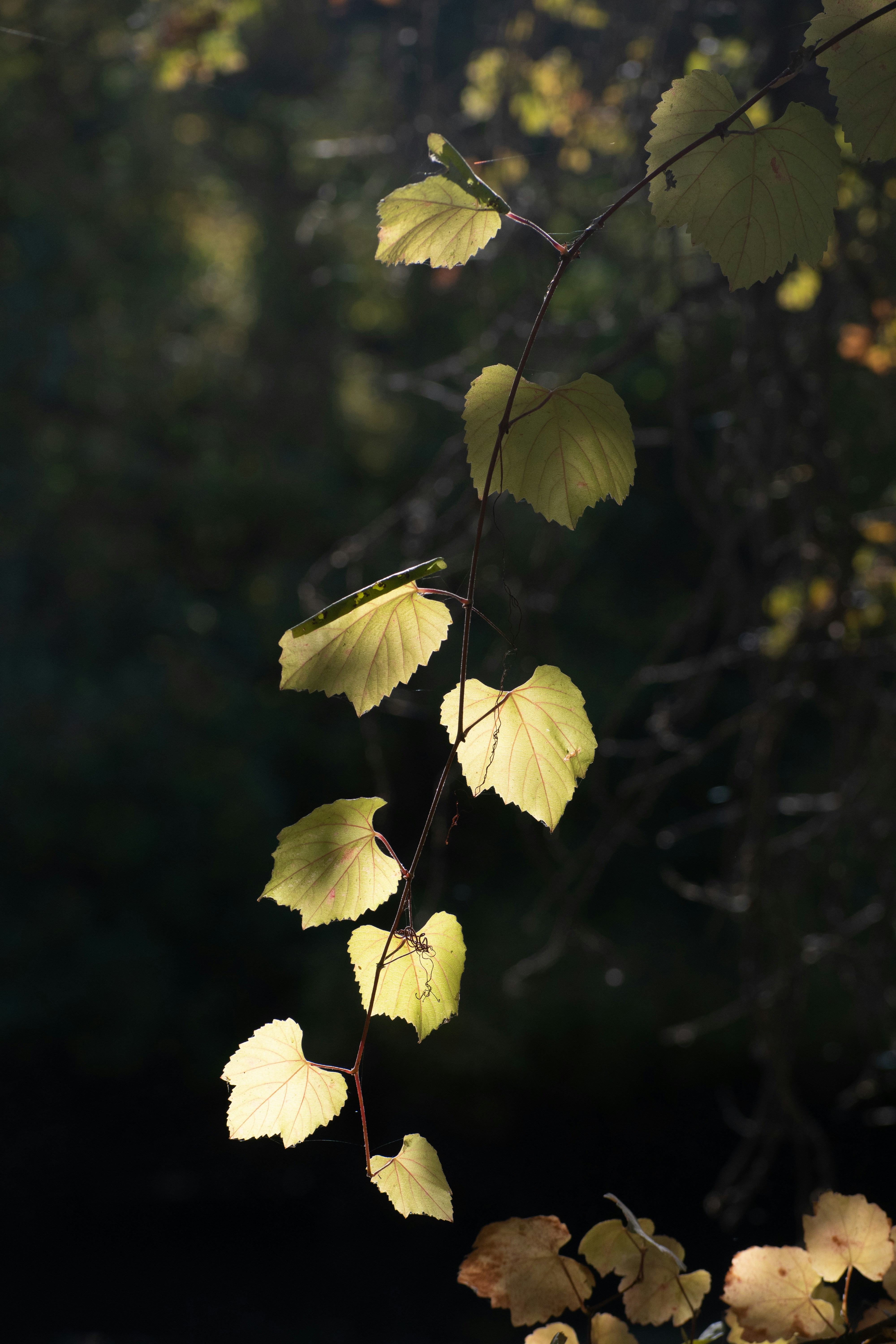 Photo by elisastonephotography