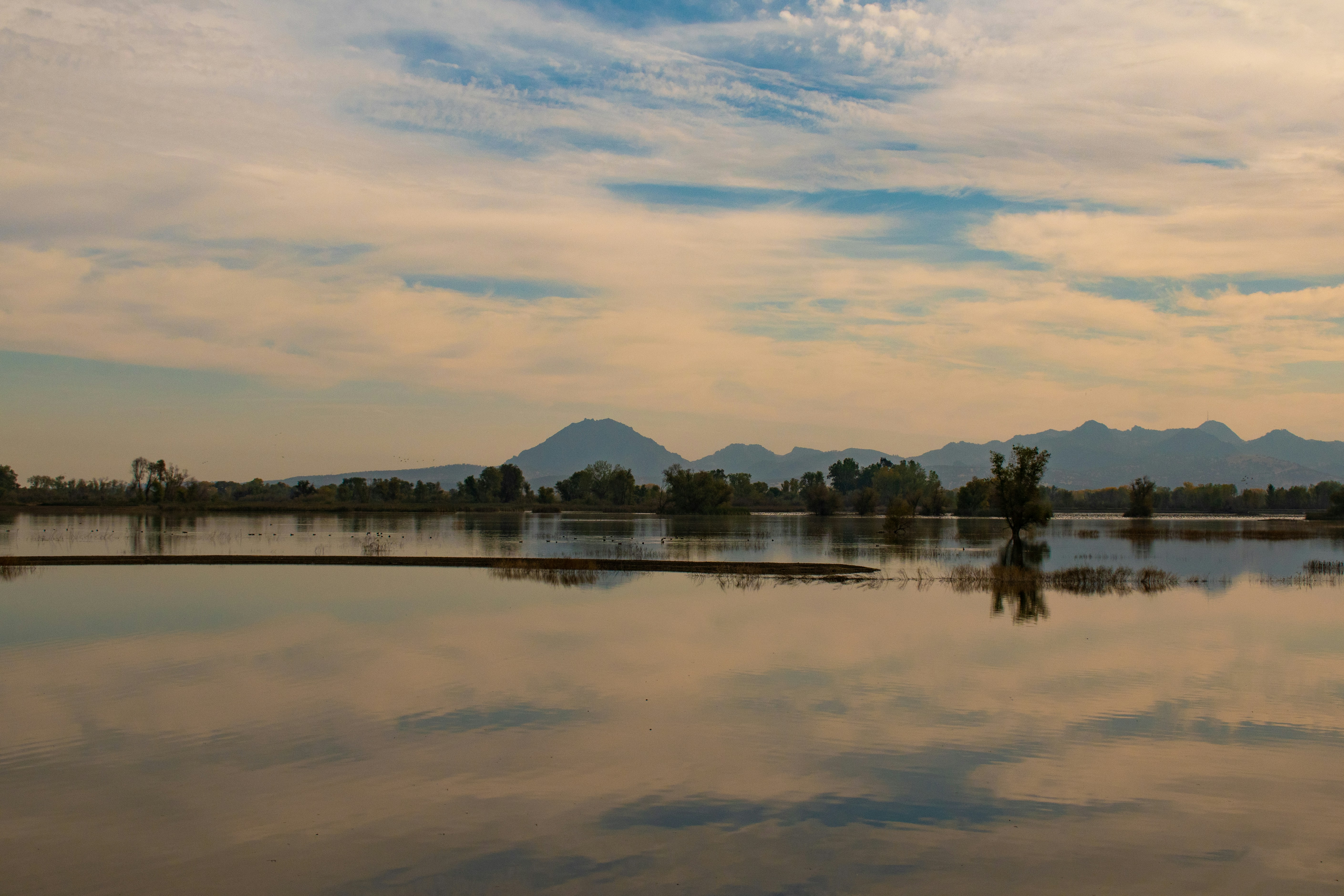 Photo by elisastonephotography