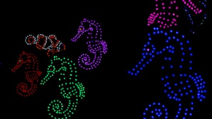 purple and pink heart illustration