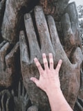 persons hand on brown rock
