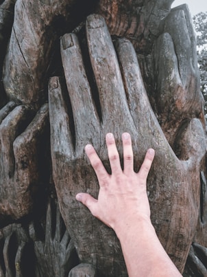 persons hand on brown rock