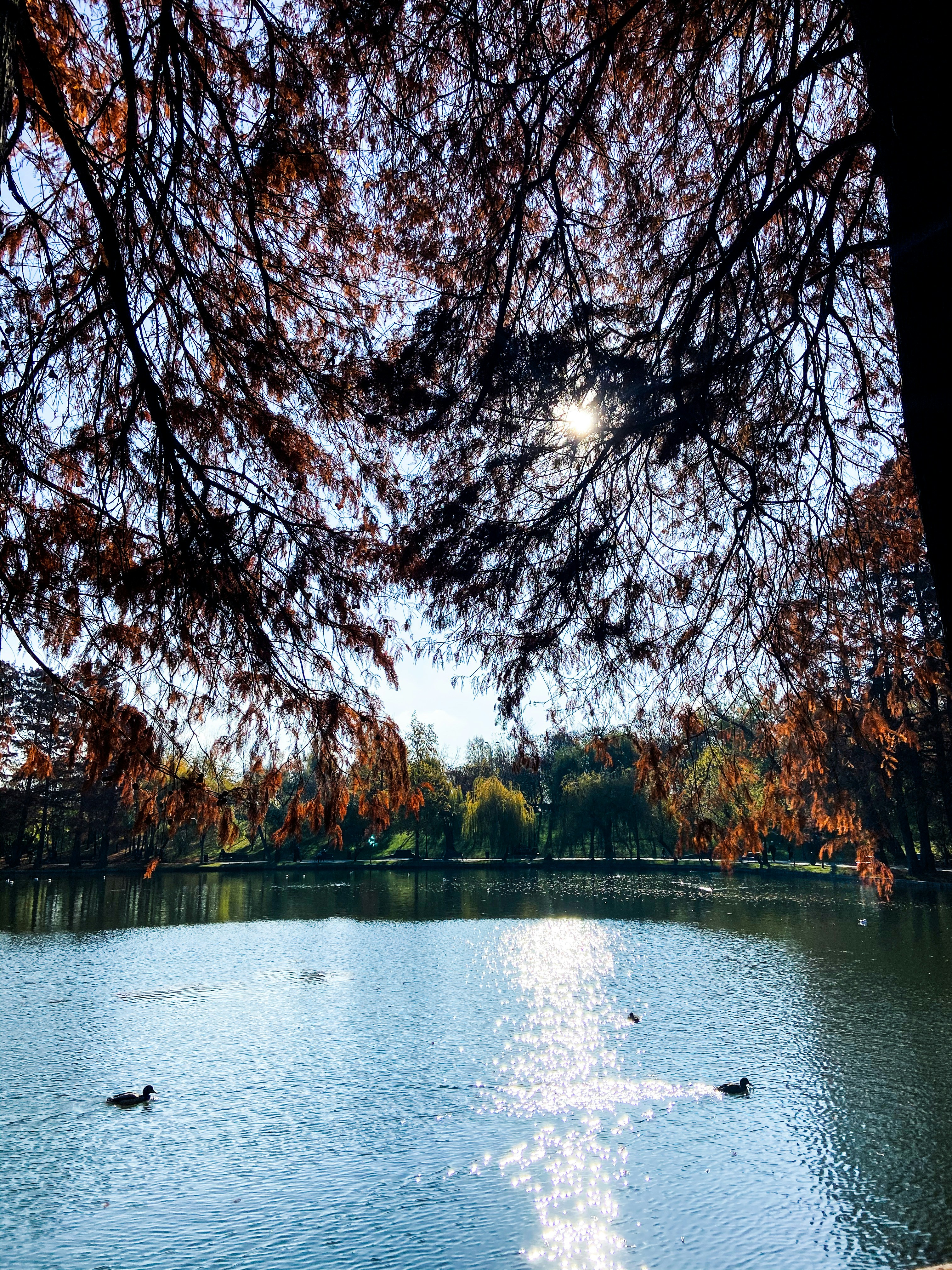 Photo by lavendercitrus