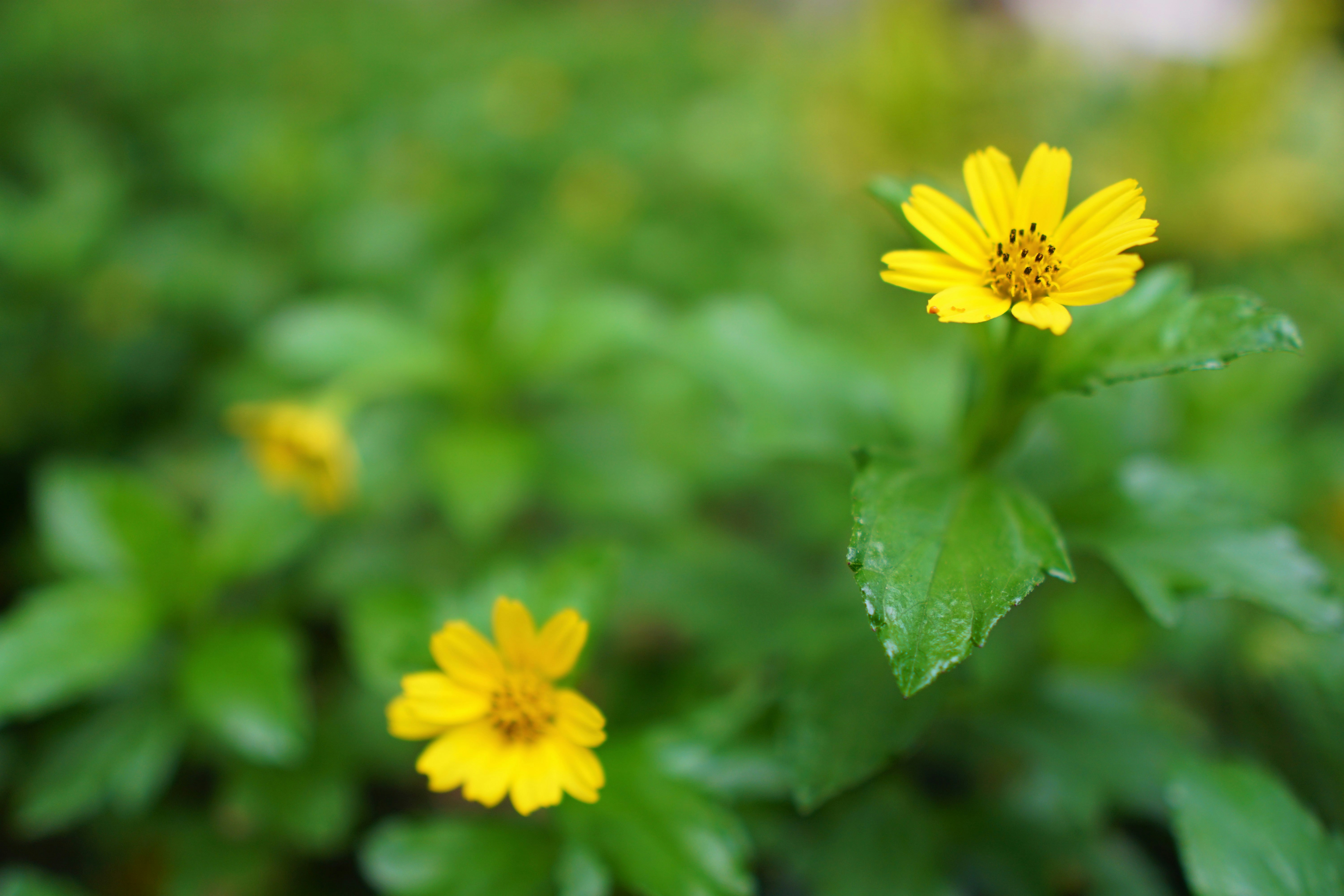 Photo by briankairuz