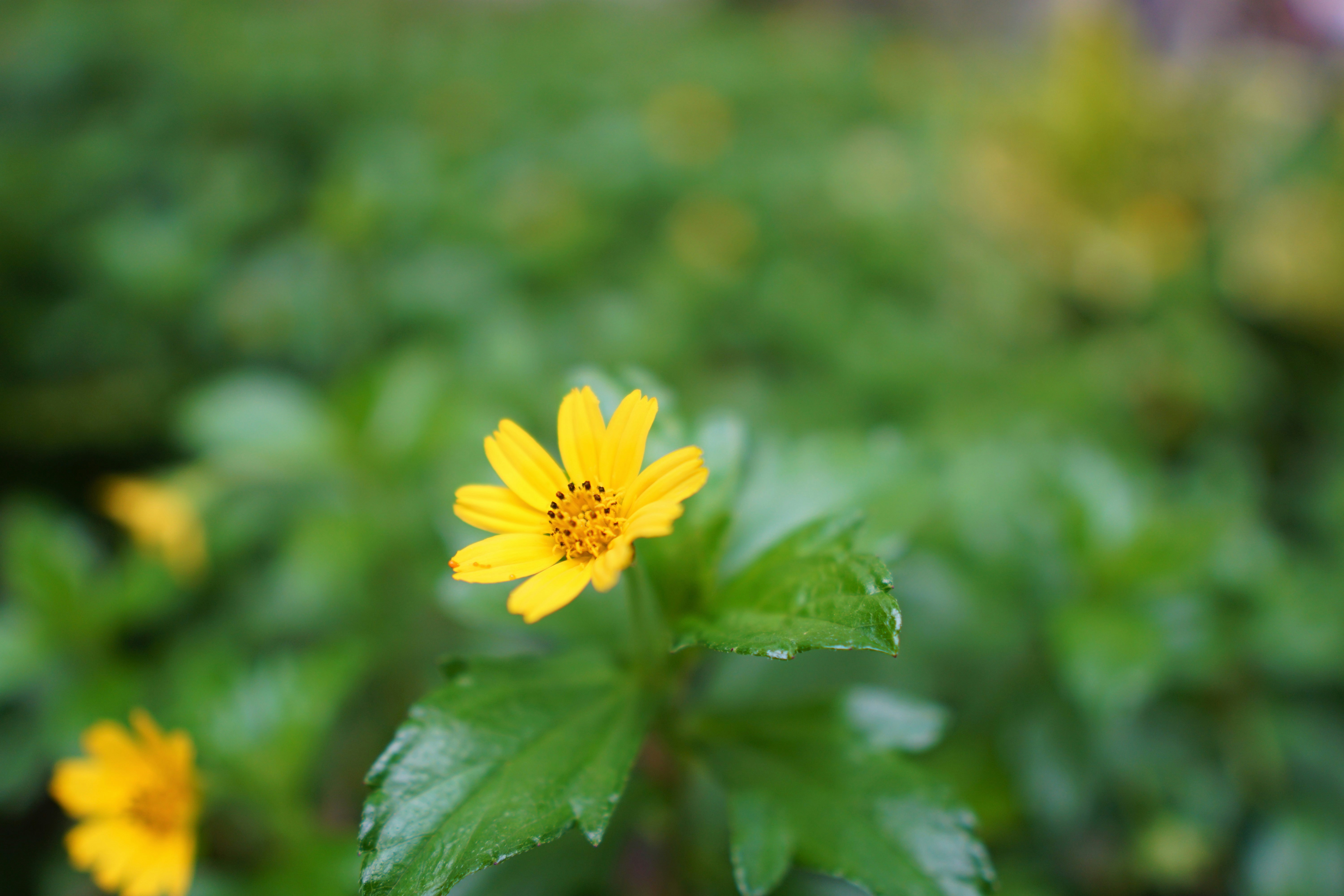 Photo by briankairuz