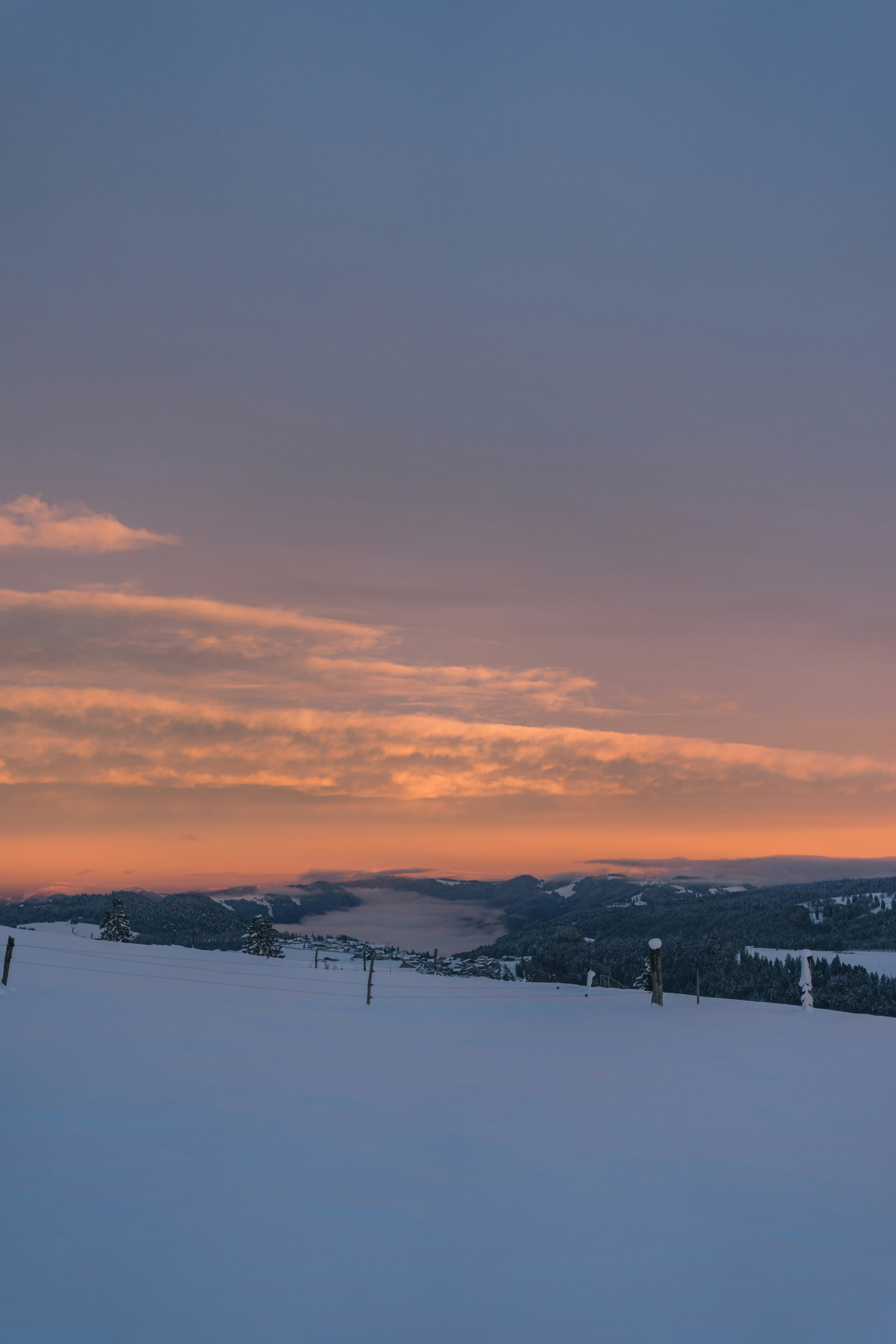 Photo by virussinside