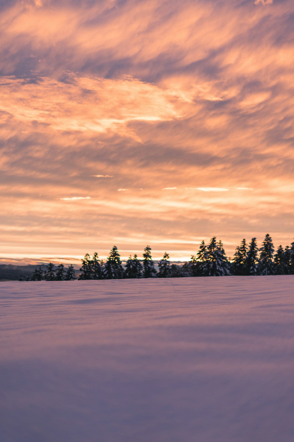 green trees on snow covered ground under cloudy sky during daytime