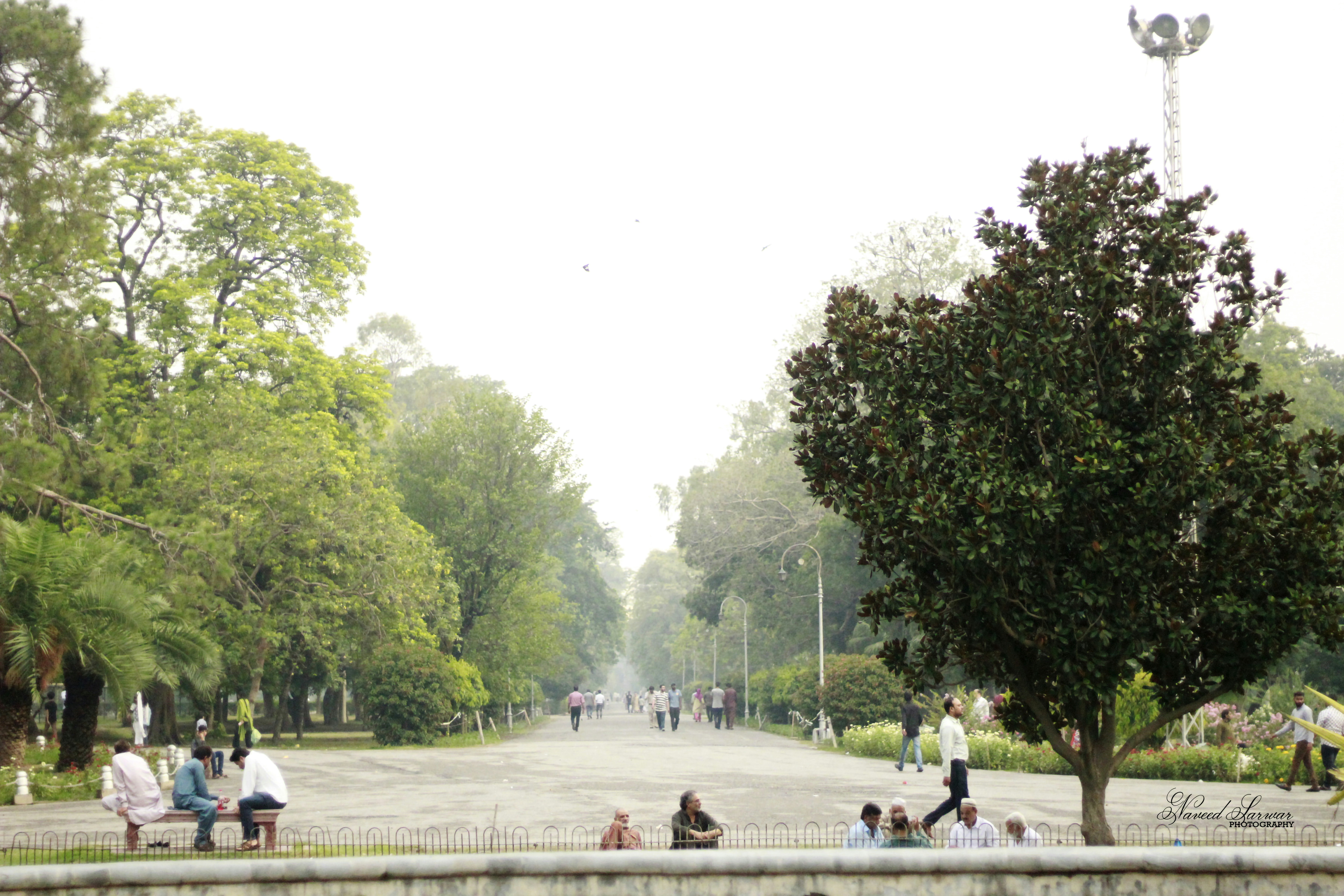 Photo by naveedsarwar