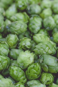 Fresh Hops