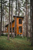 brown wooden house in forest during daytime