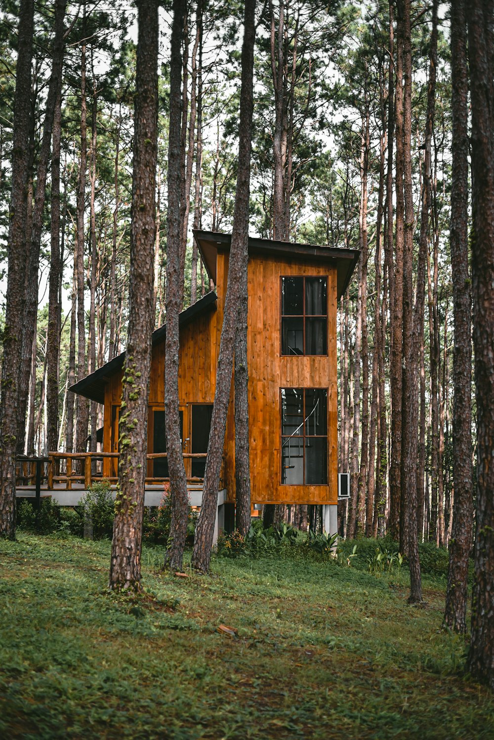 낮 동안 숲속의 갈색 목조 주택