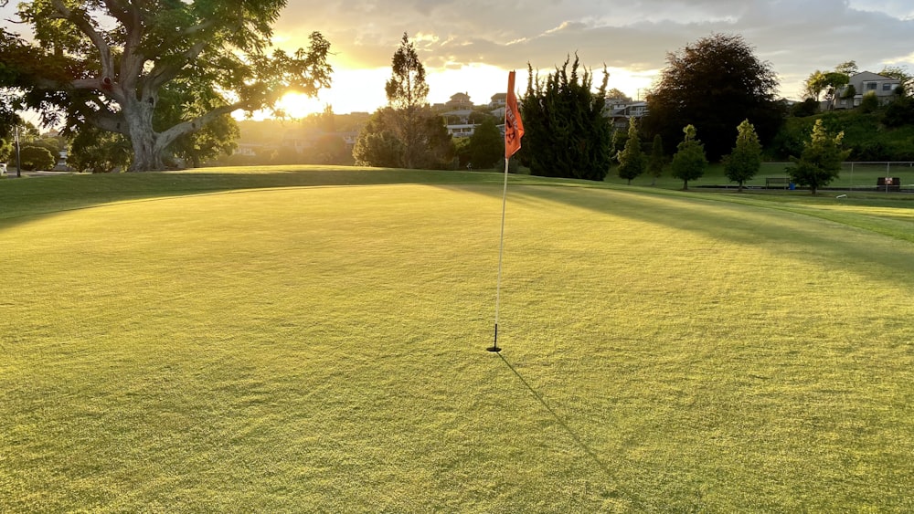 golf flag on green grass field during daytime