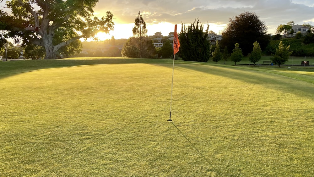 Golfflagge auf grünem Rasenplatz tagsüber