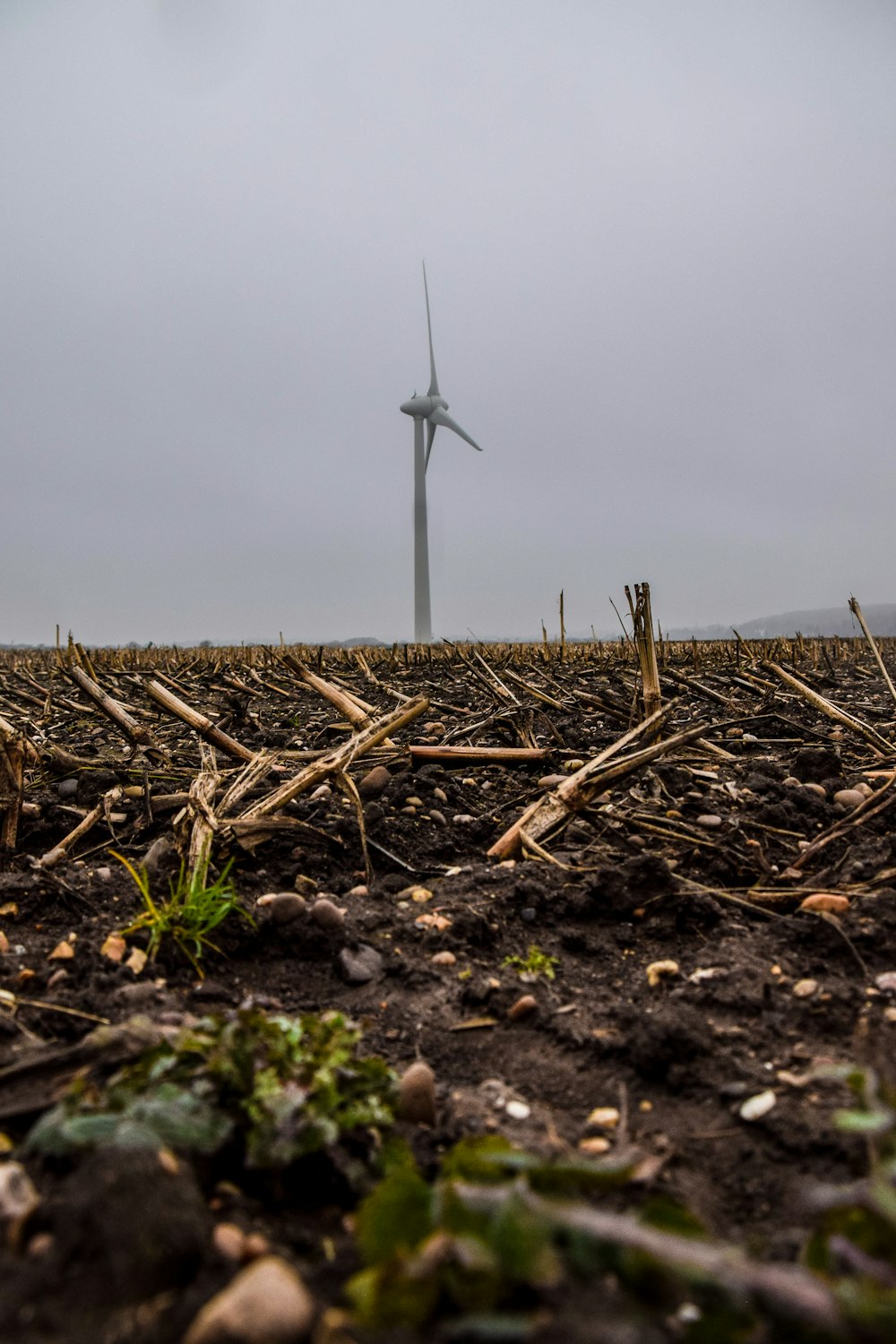 white windmill on brown grass field