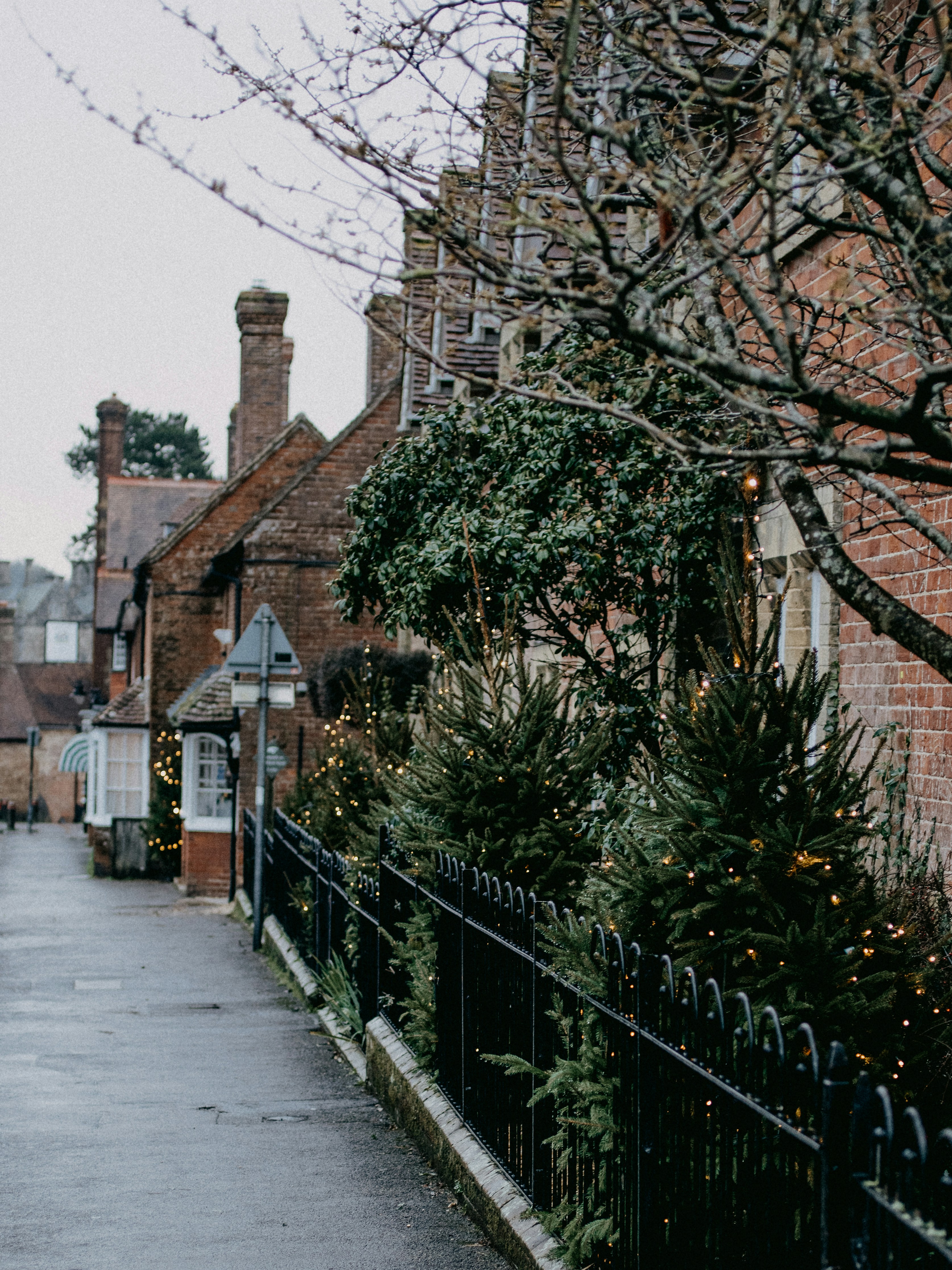 Photo by anniespratt