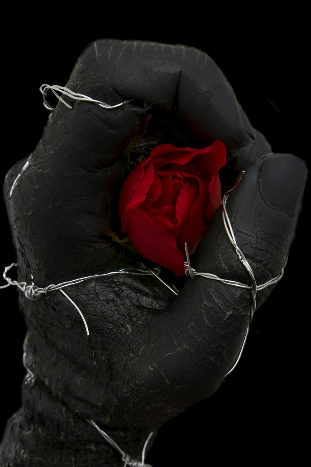 rote Rose auf schwarzem Ledersofa