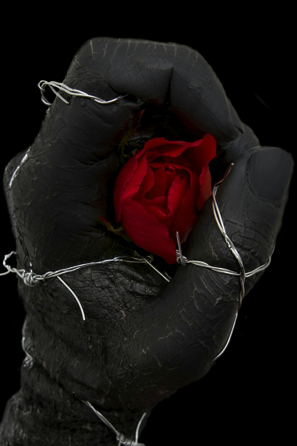 rosa roja sobre sofá de cuero negro