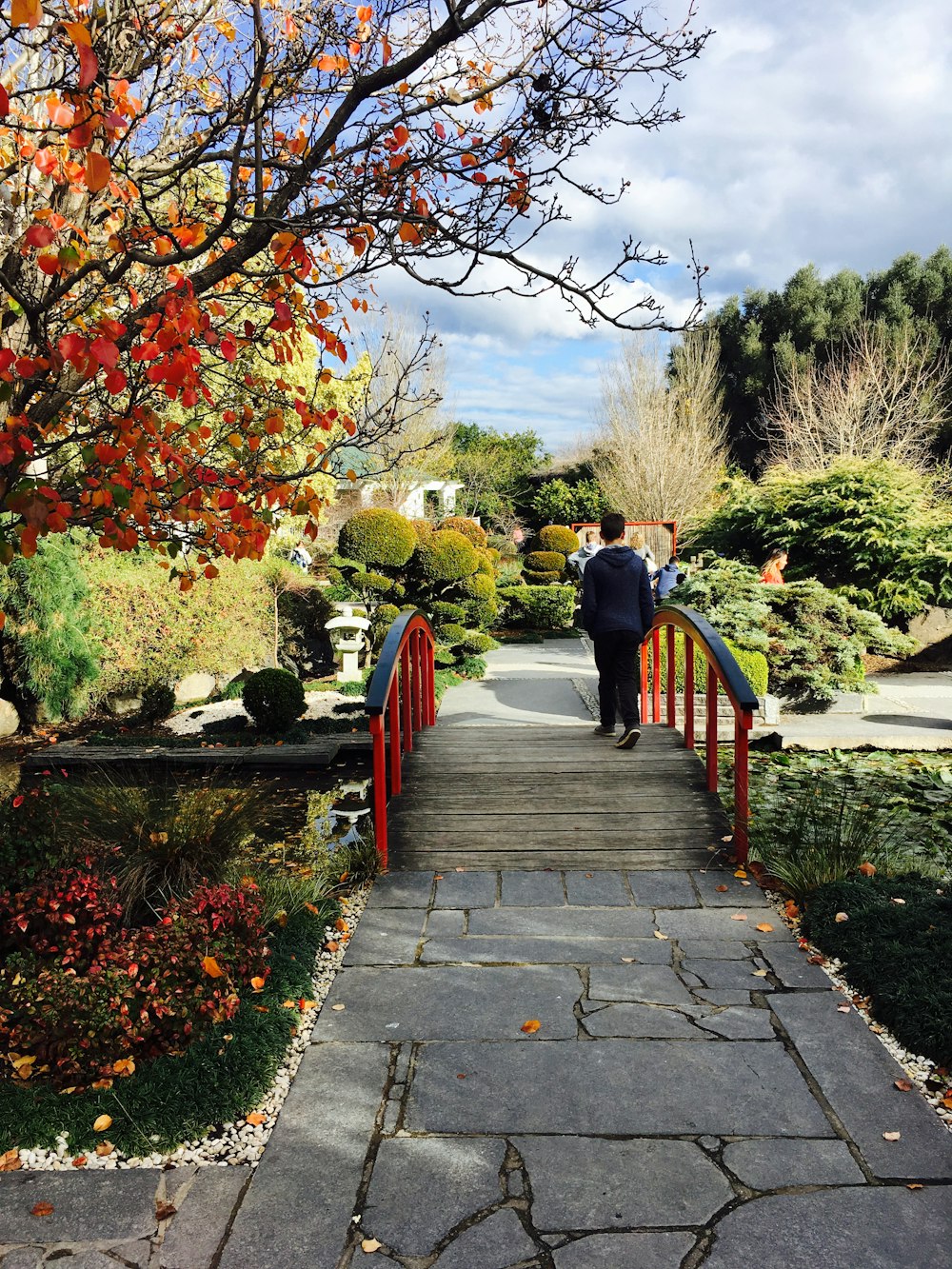 people walking on pathway between trees during daytime