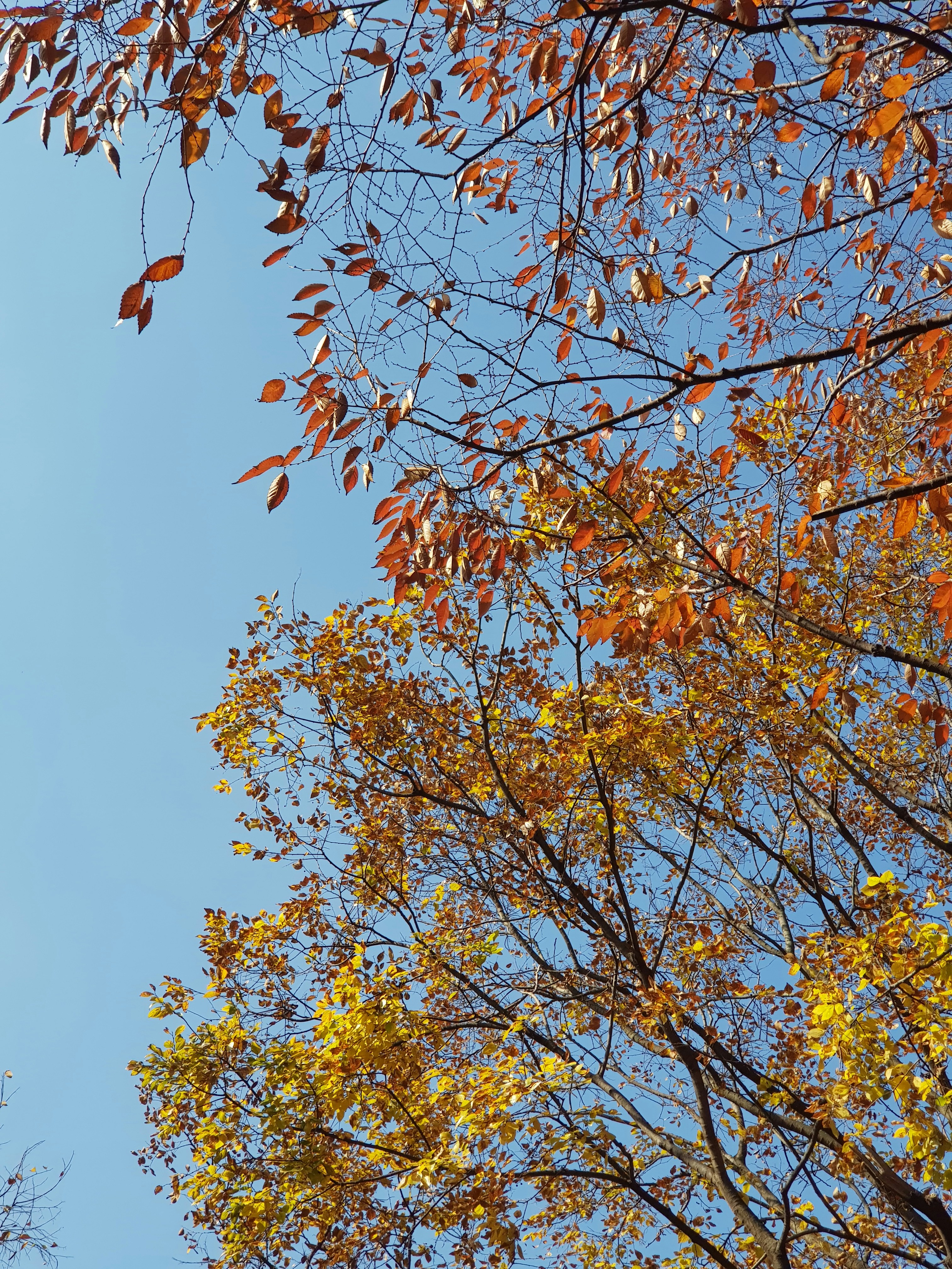 Photo by _picsby_ahal