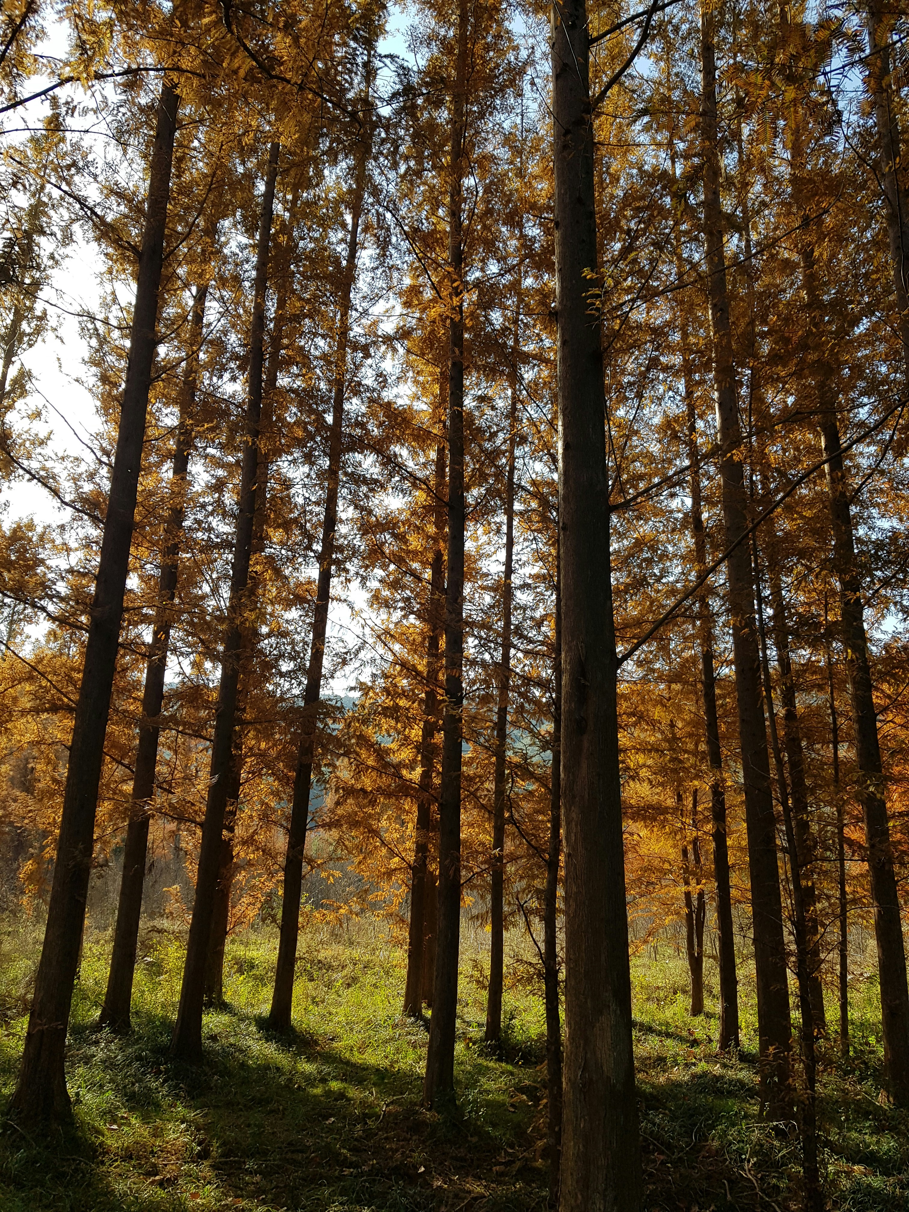 Photo by _picsby_ahal