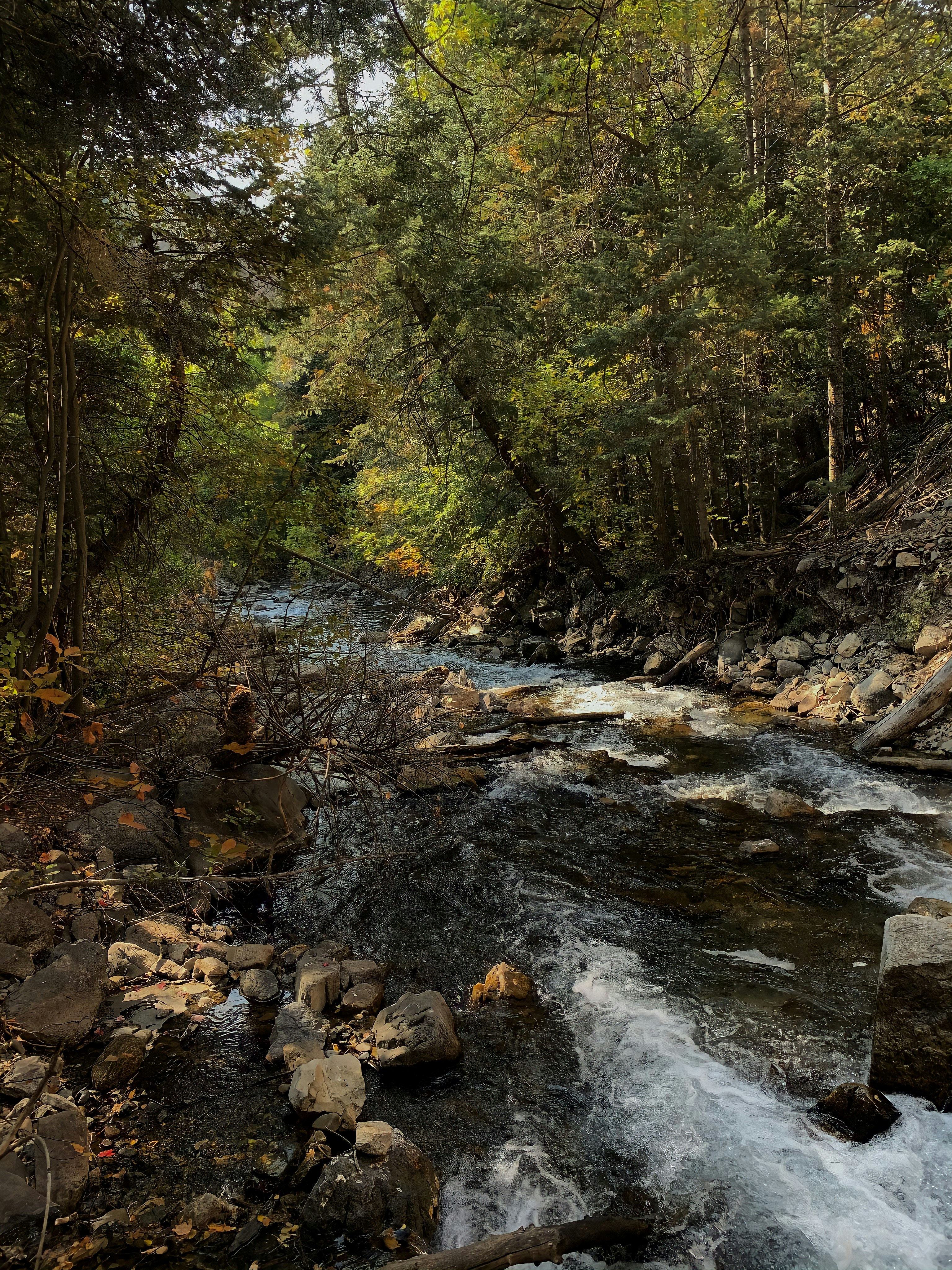 Photo by brandonnhouston