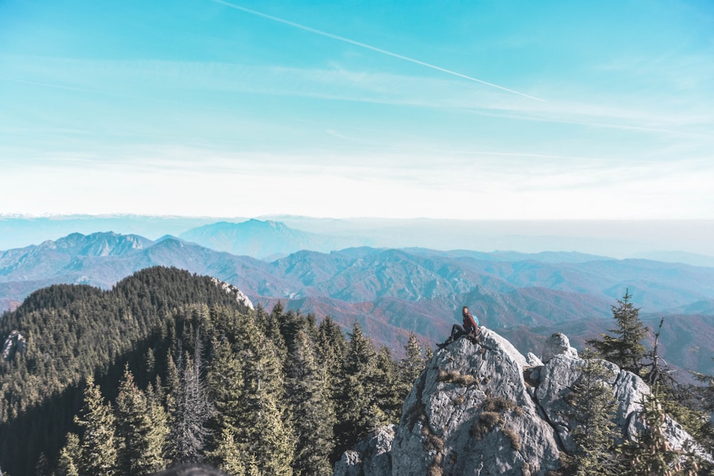 green pine trees on rocky mountain under blue sky during daytime