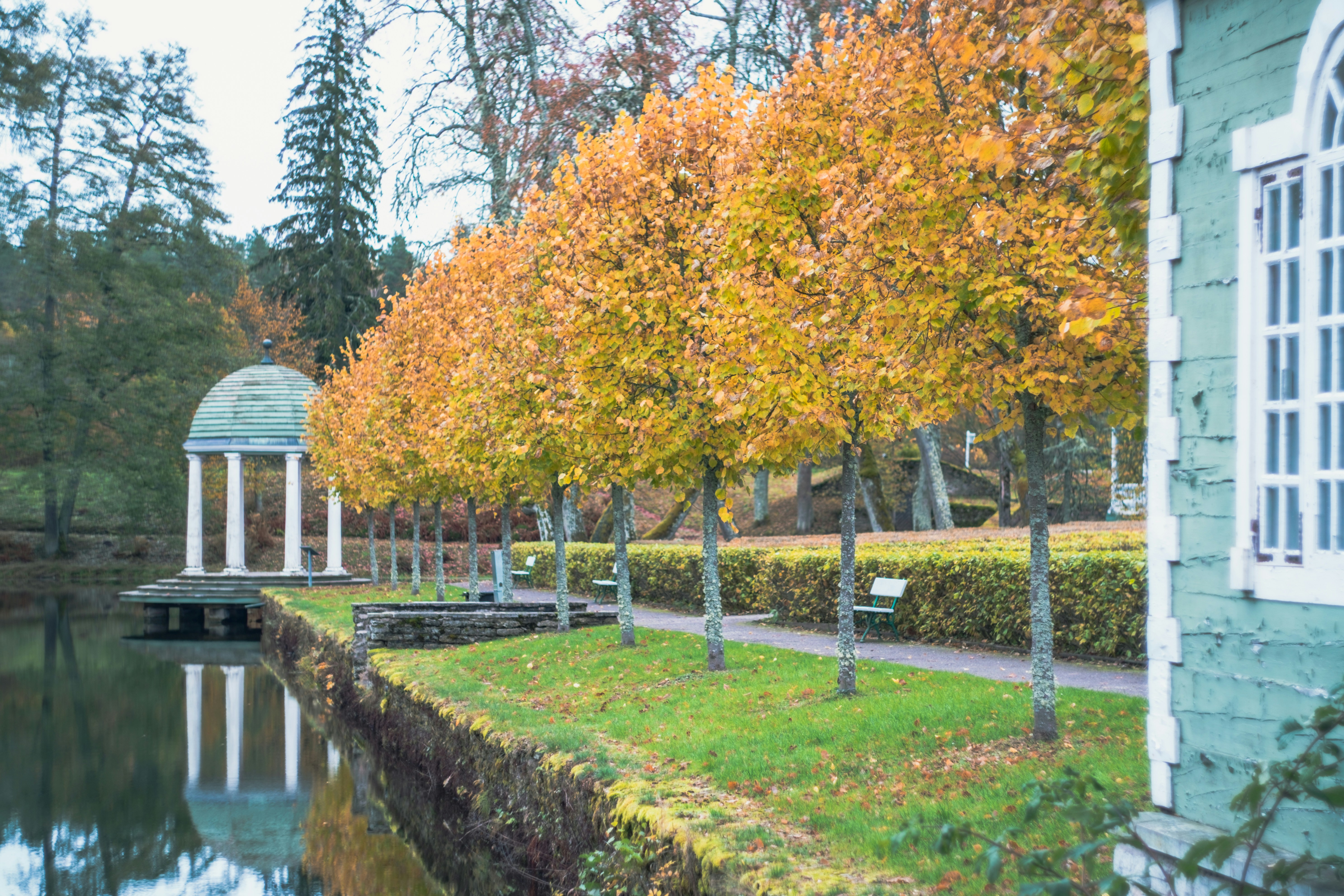 Photo by silverringvee