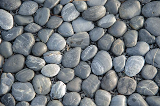 gray and black stone fragments