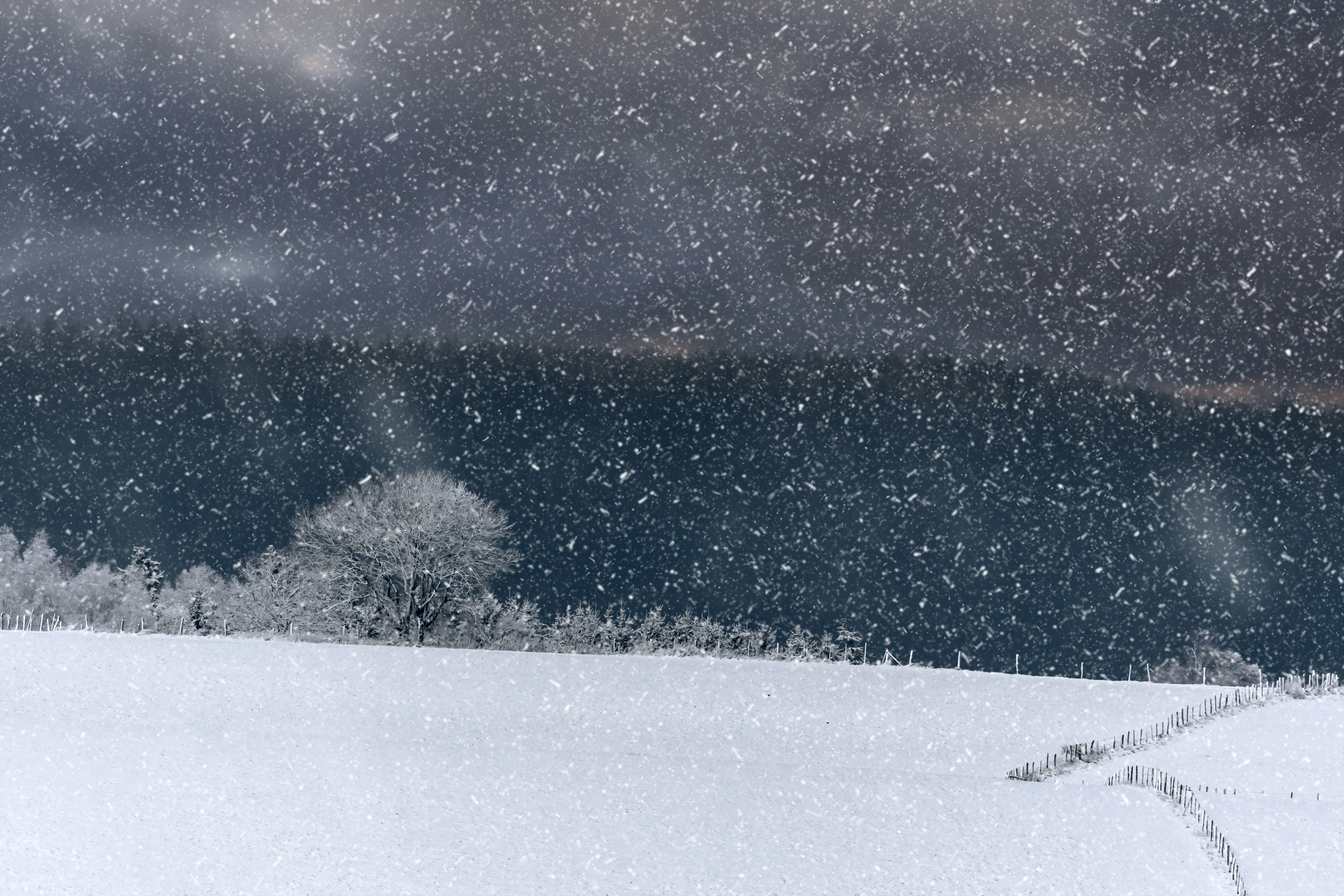 Photo by myriamzilles