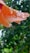A delicate orange flower petal covered in droplets of water is prominently featured, with a blurred background of green foliage, suggesting a fresh, natural setting.