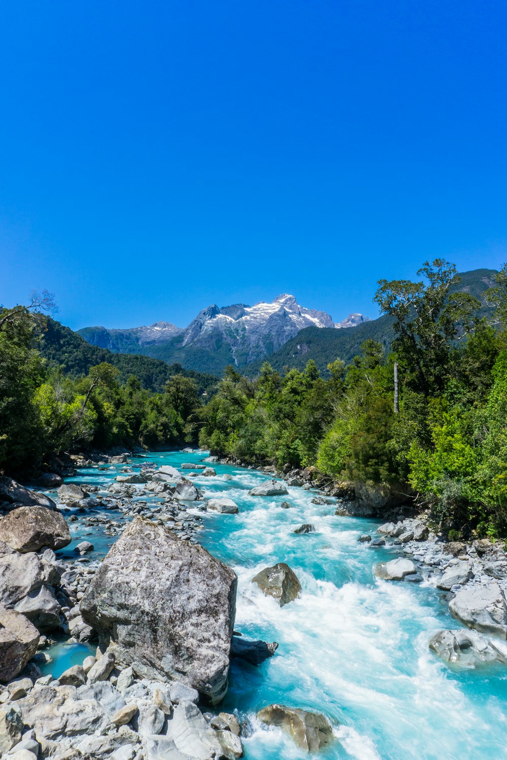 árboles verdes cerca del río bajo el cielo azul durante el día